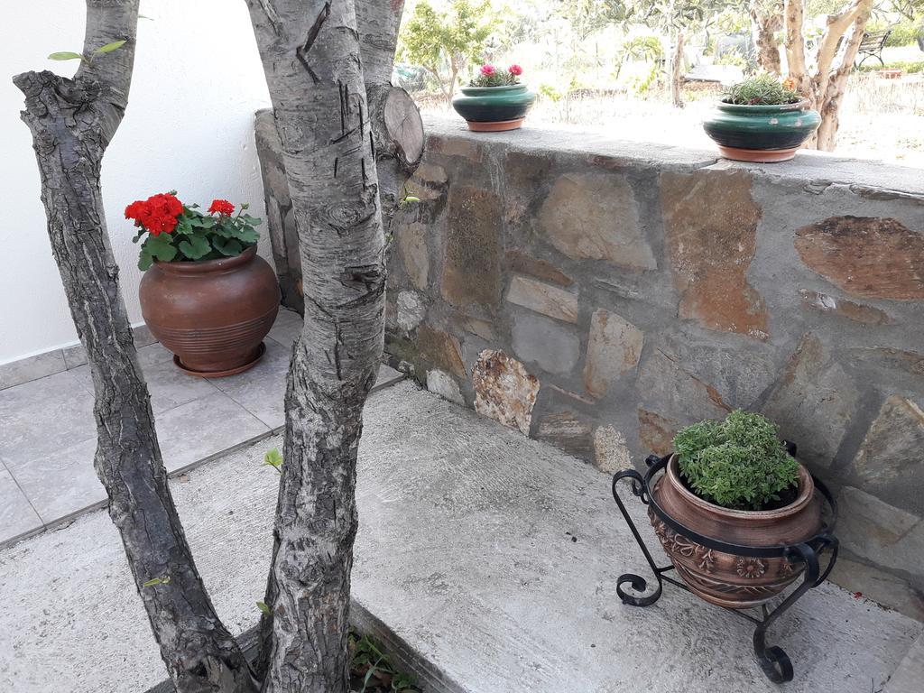 Nikiforos House Apartment Agios Nikolaos  Exterior foto
